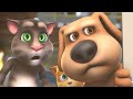 Troubled Couples | Talking Tom &amp; Friends | Cartoons for Kids | WildBrain Zoo