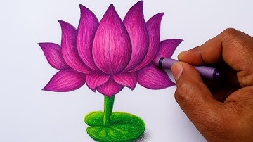 How to Draw a Realistic Lotus Flower | Step-by-Step Drawing Tutorial