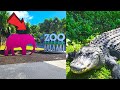 Miami zoo florida walking tour