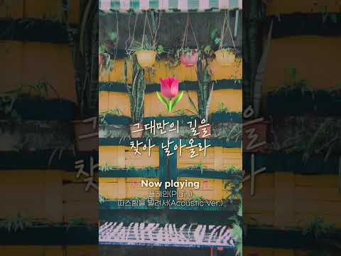 오늘 영하 11도❄️ 너라는 따스함을 빌려줘💛 #플레인 #따스함을빌려서 #Riak #Shorts