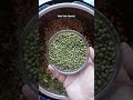 Mashawa. Afghan Barley Soup