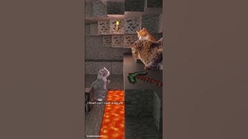 Part 2 Cat memes as Minecraft🐱 #catmemes #minecraft #shorts