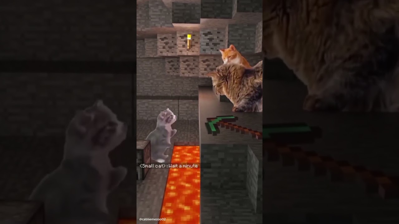 Part 2 Cat memes as Minecraft🐱 