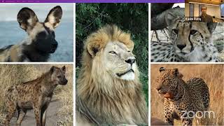 Explorer Classroom | Big Cat Research with Kasim Kafiq