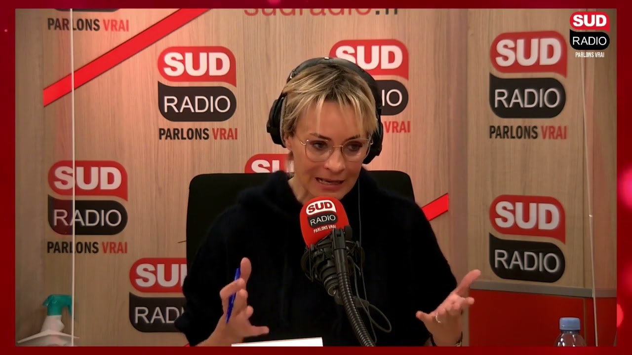 Identification : un acte obligatoire pour la protection des chiens, chats et furets