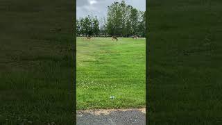 IMG 7327