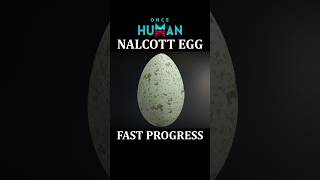 🎁 I Tested 400 Nalcott Easter Eggs And The Rewards Were Surprising | Once Human Nalcott Easter Egg