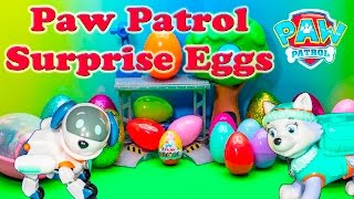 PAW PATROL  Surprise Eggs Search for RoboDog Kinder Surprise Eggs paw Patrol Video