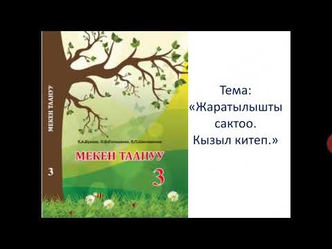 Video: Эмне үчүн кызыл кулак ташбака жумшак кабыгы бар эле?