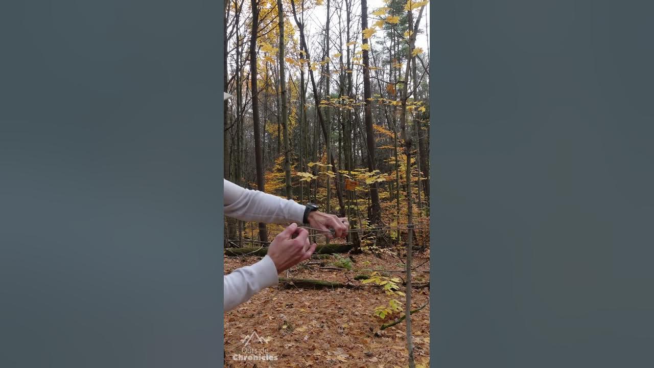 How to tie a truckers hitch best knot for backpacking ridgelines and