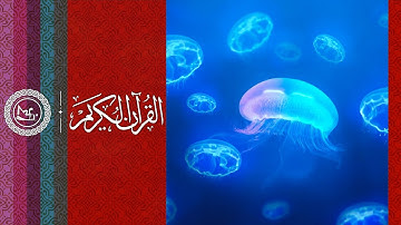 القرآن الكريم | سورة الفرقان | من آية (٧٣-٧٧) | بصوت القارئ محمد كمال هاشم