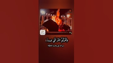 ﴿أَفَرَأَيتُمُ النّارَ الَّتي تورونَ﴾ ~ تلاوة ندية للشيخ ياسر الدوسري👌