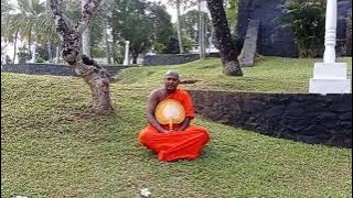 නහී වේරේණ වේරාණි Nahi Verena Verani