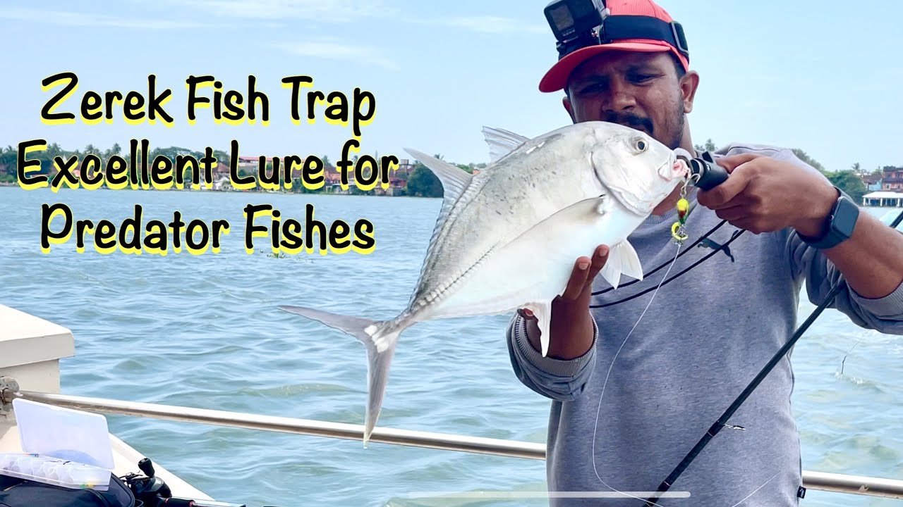 Zerek Fish Trap Excellent Lure for Trevally ,  Blue bluefin mahseer &  wallago attu