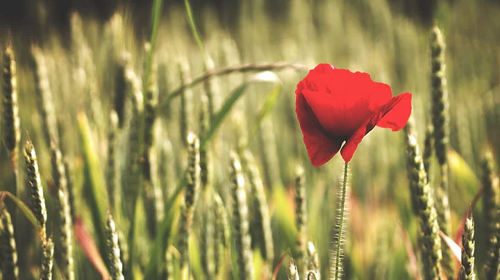 What can cause bleeding between periods?