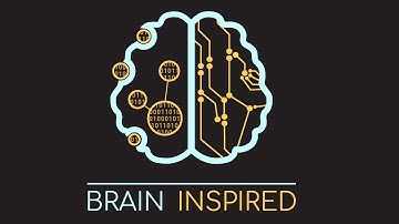 BI 079 Romain Brette: The Coding Brain Metaphor