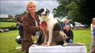 Mist: Sheepdog Tales! - Trial and Error