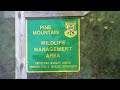 Pine Mountain Wildlife Management Area