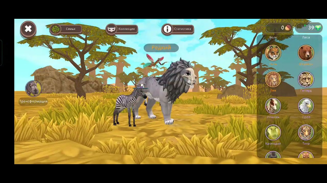 Мой путь в WildCrawt 