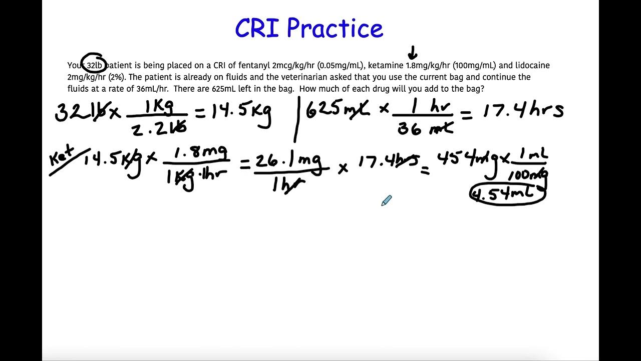 CRI Practice - YouTube