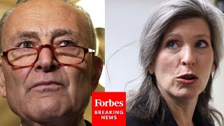 Joni Ernst Takes Aim At Schumer During GOP Press Briefing