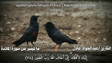 من سورة المائدة 🌿 وَاتْلُ عَلَيْهِمْ نَبَأَ ابْنَىْ ءَادَمَ بِالْحَقِّ |القارئ عبدالجواد عادل