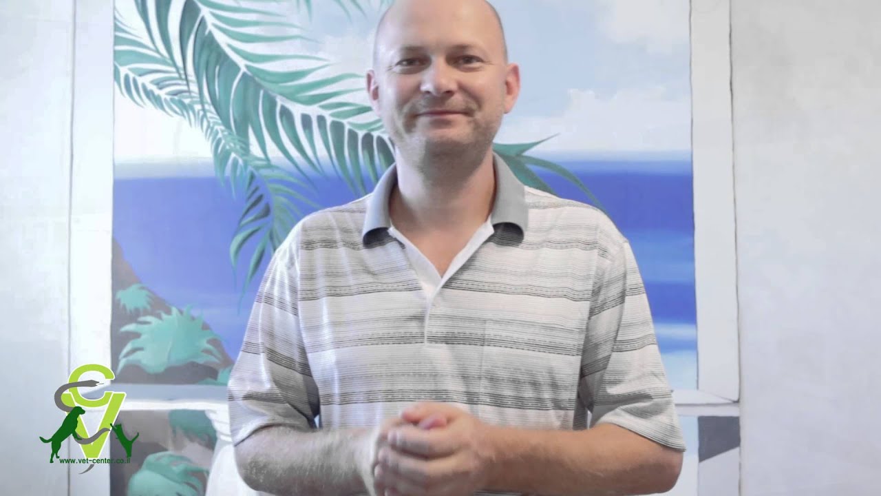 Какие средства существуют от глистов для кошек