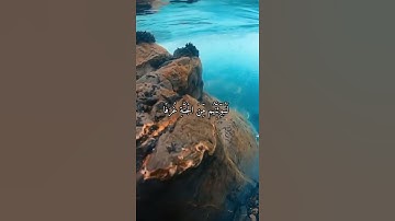 ( الَّذِينَ صَبَرُوا وَ عَلَى رَبِّهِمْ يَتَوَكَّلُونَ ) ❤️ القارئ الشيخ ياسر الدوسري