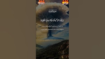 سورة البينة #القرآن_الكريم #المصحف #اكسبلور