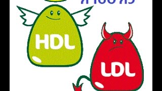 דיאטה ותזונה לכולסטרול גבוהה בדם טיפול מניעתי