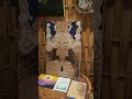 Day 113 - making art everyday until I paint a $10k mural