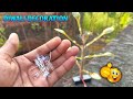 Led Life Hacks For Diwali Decoration || Diwali Decoration Light || Diy Led Tree For Home Decoration