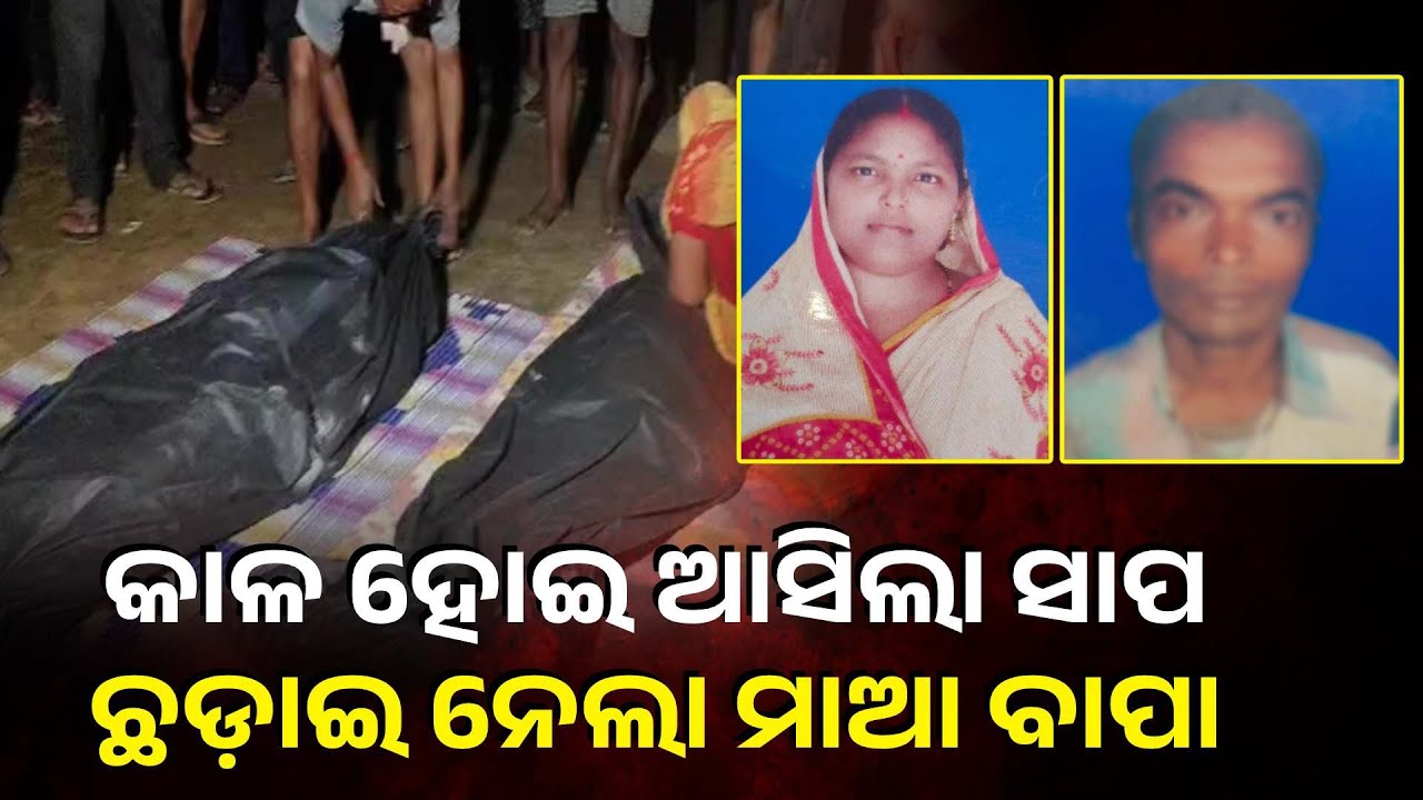 ରାତିରେ ଶୋଇଥିଲା ବେଳେ ଦୁଇ ପିଲାଙ୍କୁ ବାପା ମାଆ ଛେଉଣ୍ଡ କରି ଦେଲା ସାପ