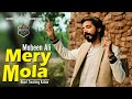 Soul music  sufi music rumi  mery mola hamd 2023  heart touching kalam