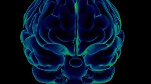 Your brain has an autopilot mode