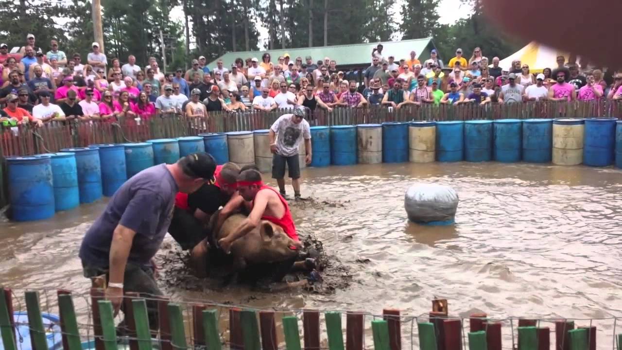 Crivitz Hog Wrestling 2013 YouTube