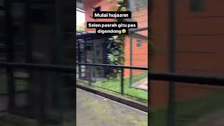 MULAI HUJAN,SELEN PASRAH PAS DI GENDONG🤣#alshadahmad #shorts