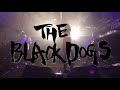 Capture de la vidéo The Black Dogs（ザ・ブラックドッグス）Live At 長野Junkbox 2021/3/21