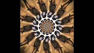 Insta360 Photo Art Old Shipwreck Kaleidoscope