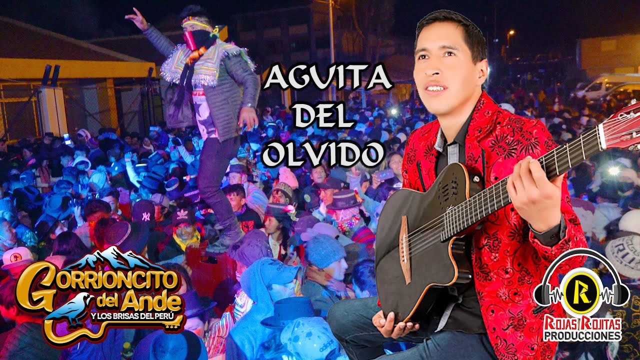 GORRIONCITO DEL ANDE CONCIERTO 2021 CCOÑANI   AGUITA DEL OLVIDO