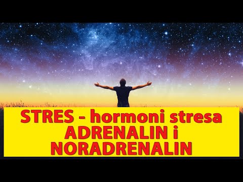 STRES - hormoni stresa ADRENALIN i NORADRENALIN - Tema 366