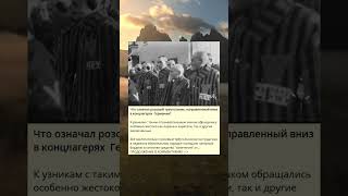 Что означал розовый треугольник, направленный вниз в концлагерях  Германии?