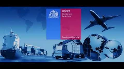 Explicación de funcionamiento del sistema de Matriz Detallada de Comercio exterior