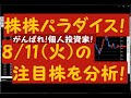 株株パラダイス！2020/8/11(火) の注目株を分析！以前、世界的 外資系 金融機関４社に勤務し、統括部長を経験した 株パラ がお送りします！！！