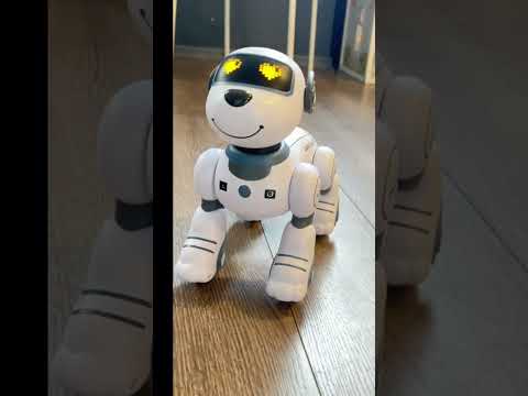 Собачка на радіокеруванні Smart stunt dog, видео 1