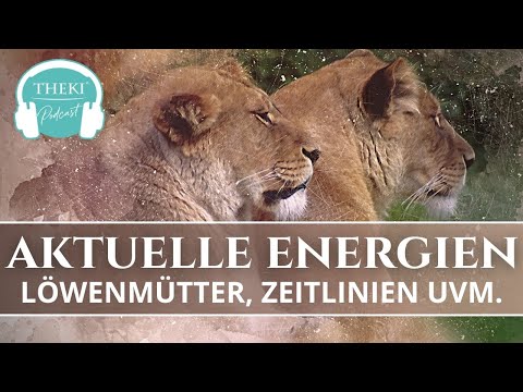 Energien August: Löwenmütter, Zeitlinientrennung, Portale, Stürme, Offenbarungen | Podcast #50