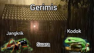 hujan gerimis suara katak dan jangkrik suasana desa dijamin langsung tidur