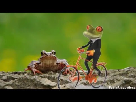 oh shit waddup, Dat boi strikes again