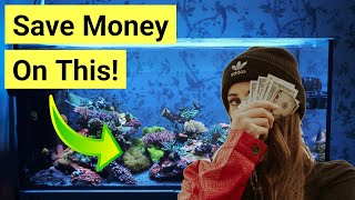 How To Save Money Setting Up A Saltwater Tank