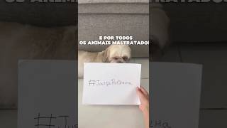 JUSTIÇA PELO ORELHA!! #roblox #Justiça #orelha #dogs #cachorro